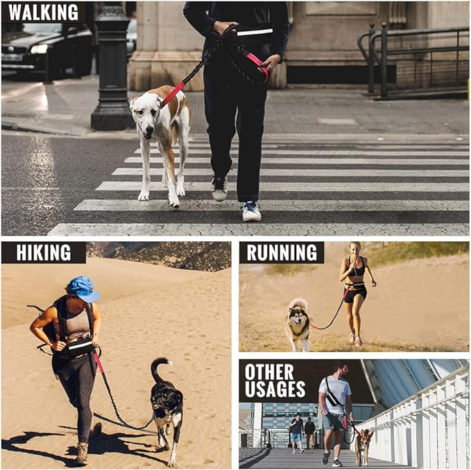 FlowLeash Dog Leash with Shock Absorber & Waist Belt