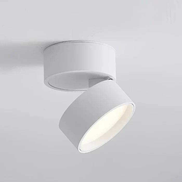 Ceiling Light LED Spotlight Adjustable Swivel Head