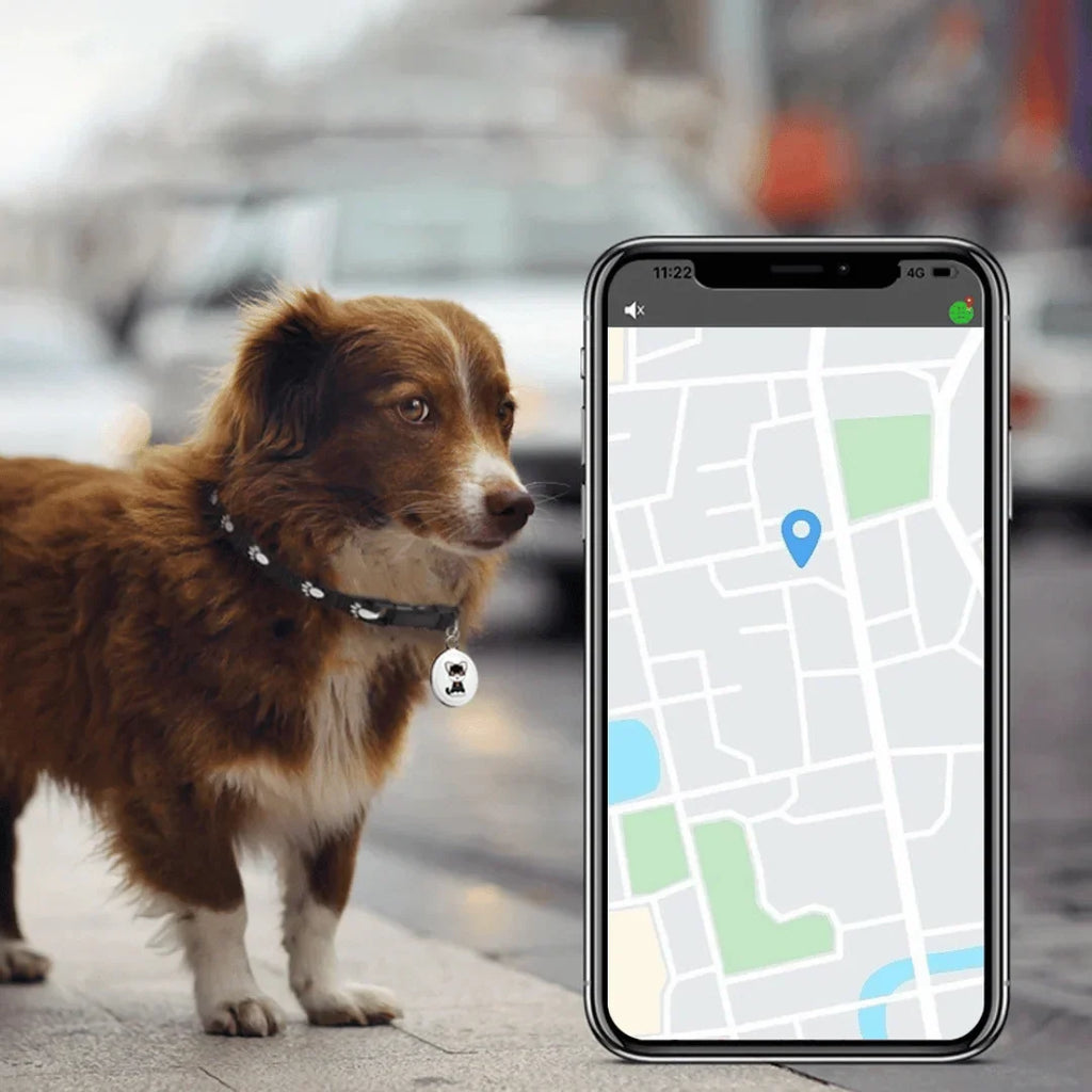 Pet GPS Tracker Real-Time Location Tracking