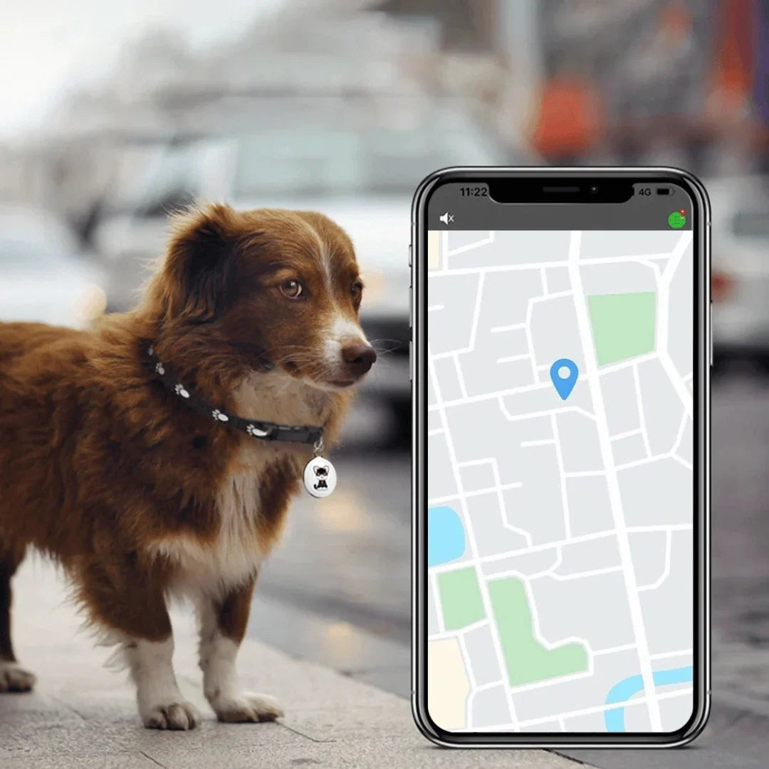 Pet GPS Tracker Real-Time Location Tracking