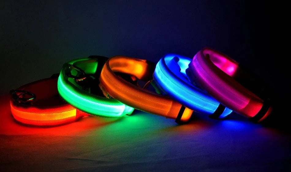 LED Dog Collar Illuminated for Night Walks