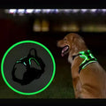 LumiPaws™ – LED Dog Harness for Increased Visibility at Night