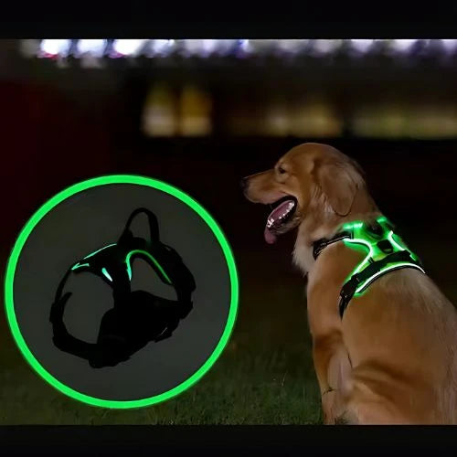 LumiPaws™ – LED Dog Harness for Increased Visibility at Night