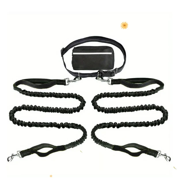 FlowLeash Dog Leash with Shock Absorber & Waist Belt