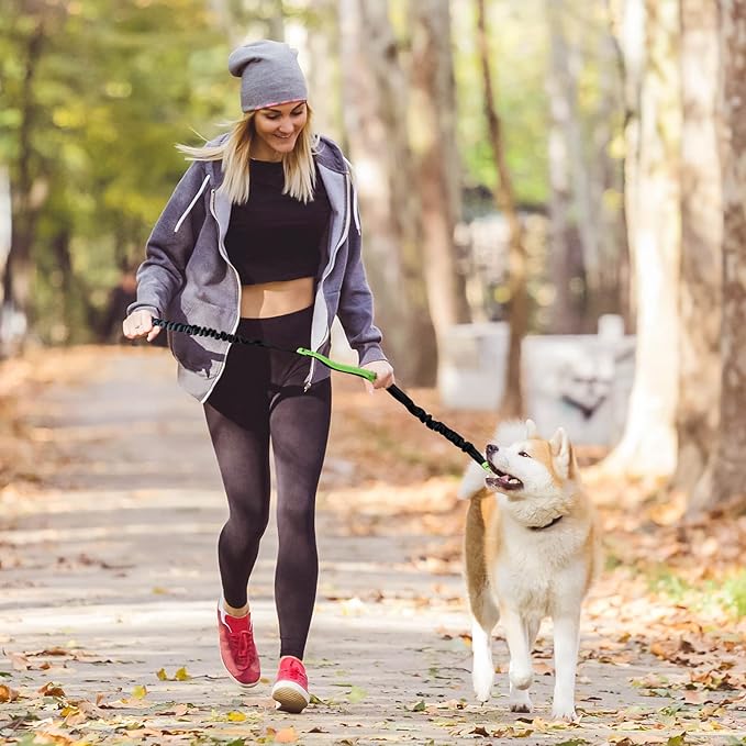 FlowLeash Dog Leash with Shock Absorber & Waist Belt