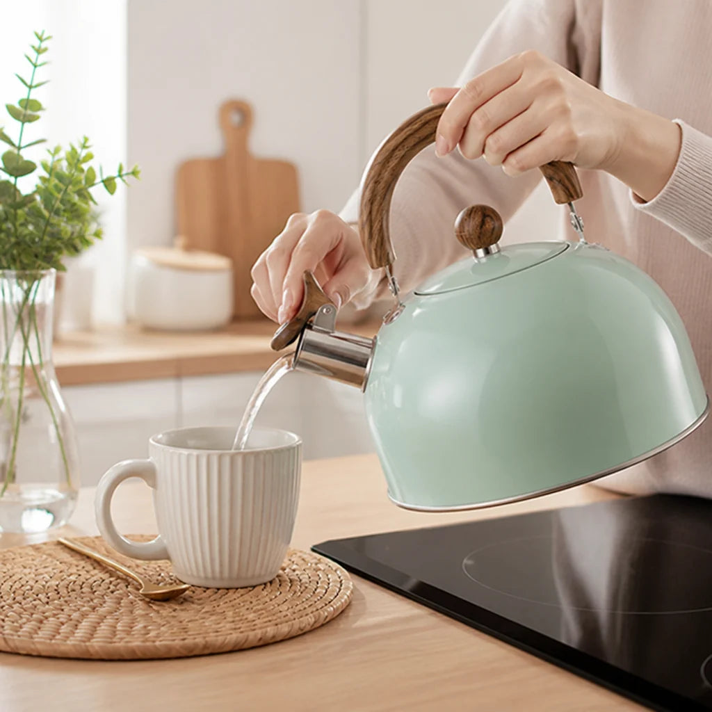 Stainless Steel Pipe Kettle (2.5L)