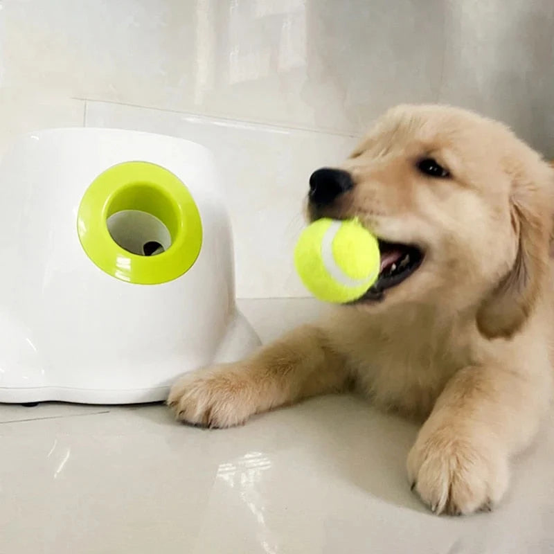 PlayBolt Automatic Ball Launcher for Dogs
