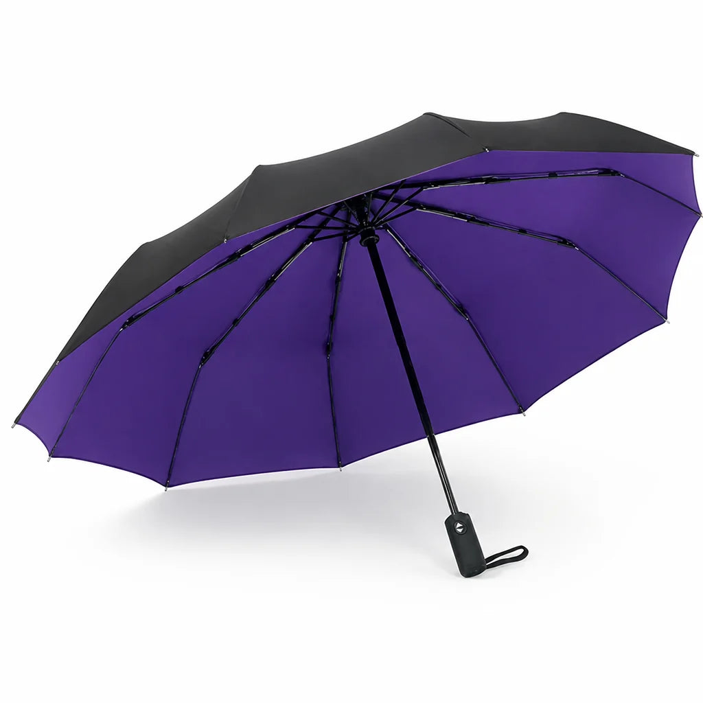 Windproof double-layer automatic umbrella