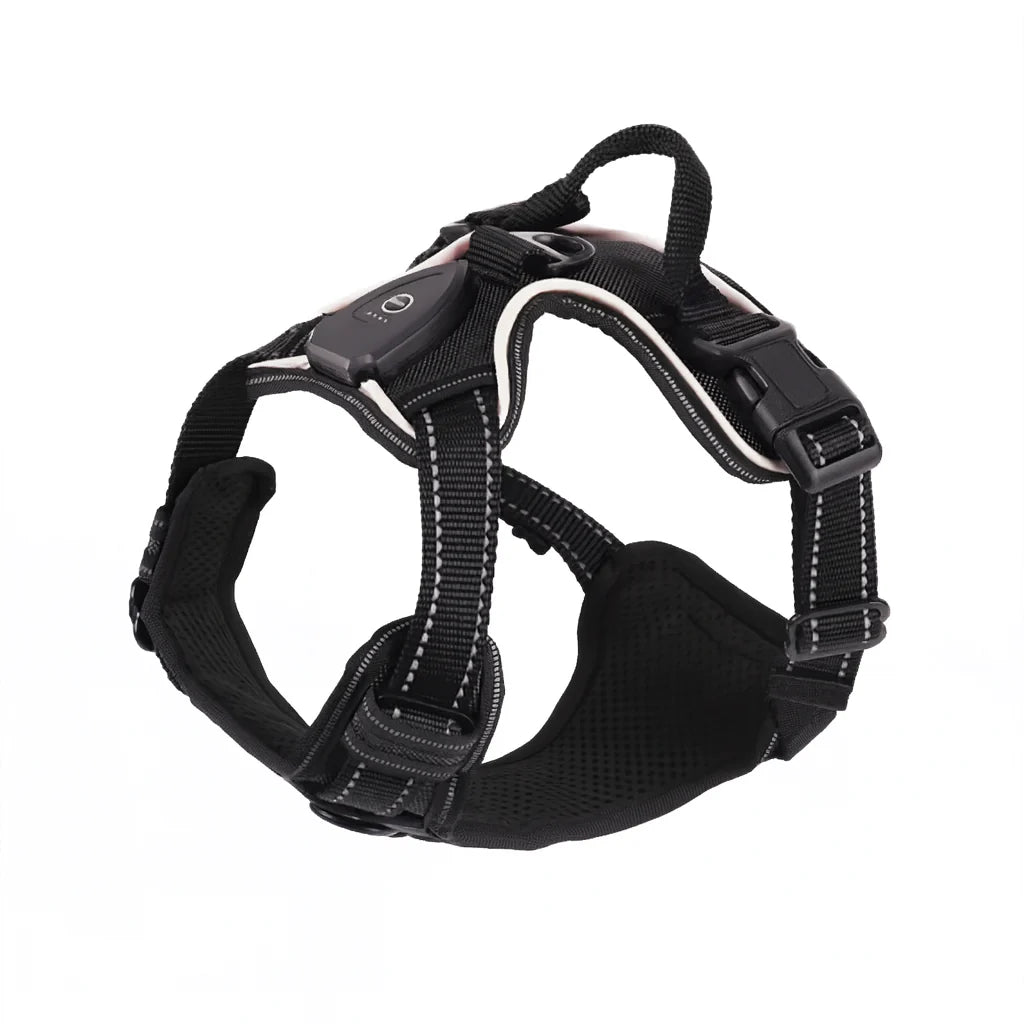 LumiPaws™ – LED Dog Harness for Increased Visibility at Night