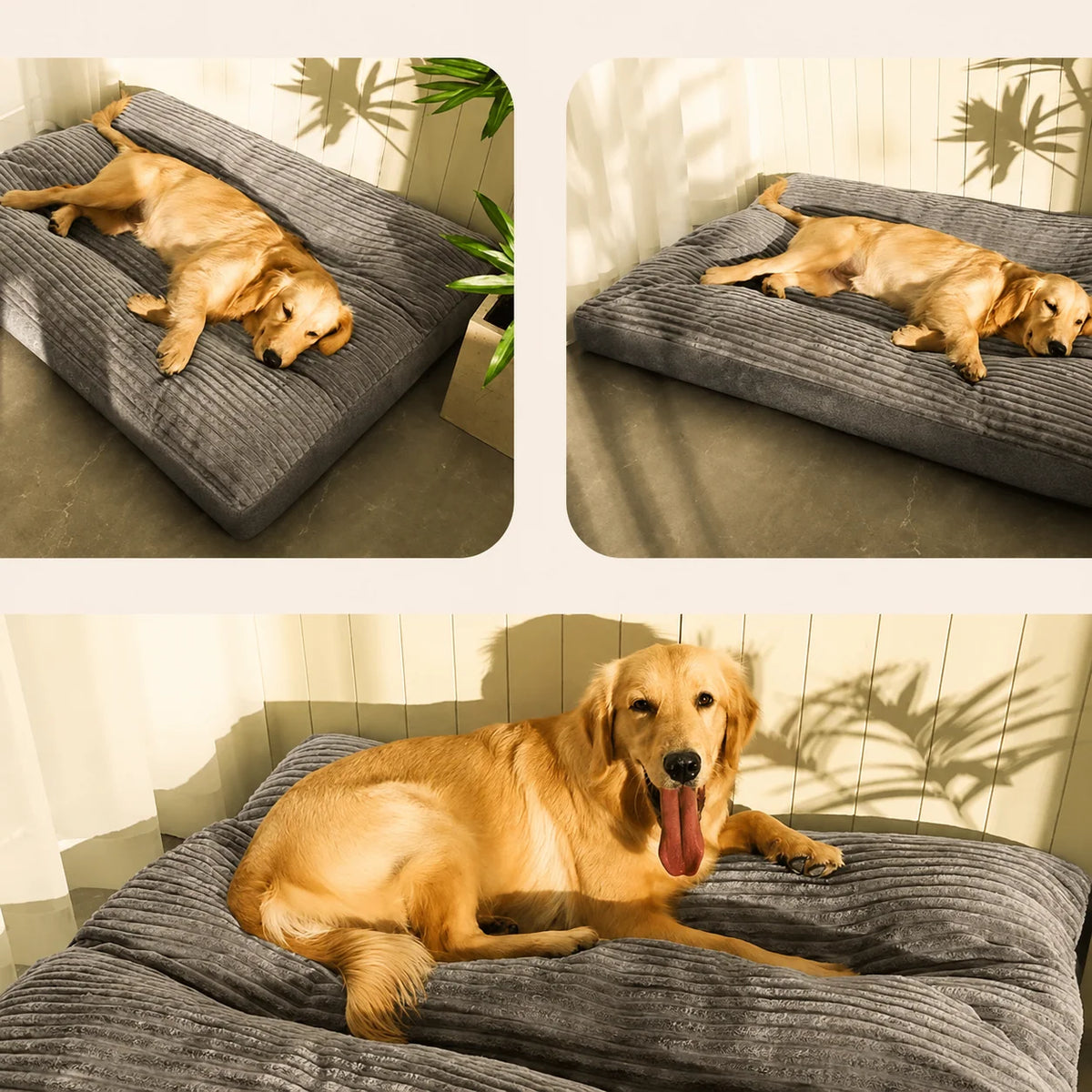 Orthopedic Dog Bed Fleece Lined Raised Edge