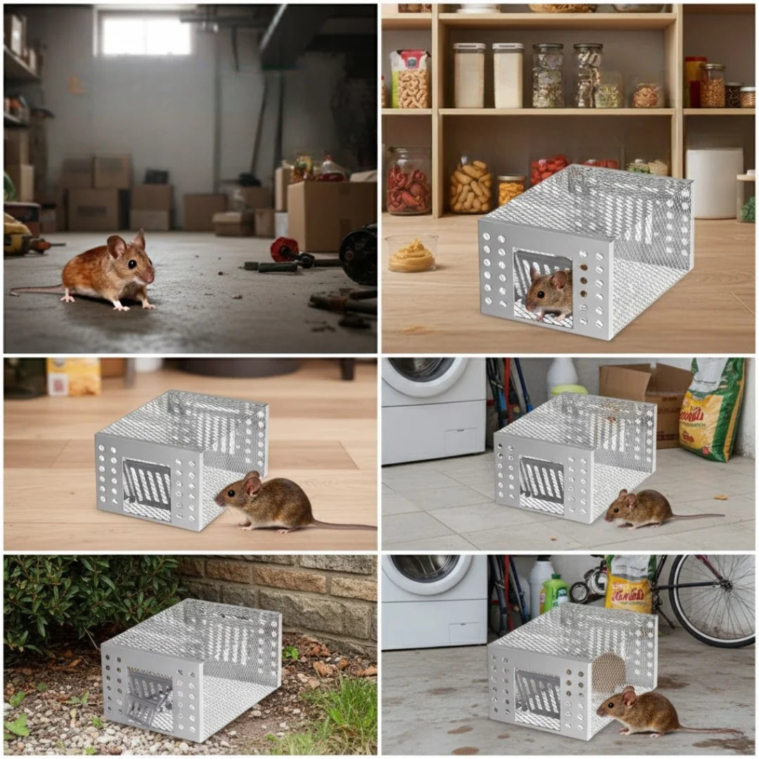 Automatic Mouse Trap with Multiple Capture