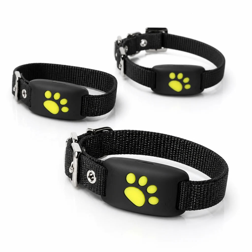 Dog GPS Tracker Real-Time Location & Geofence Alerts
