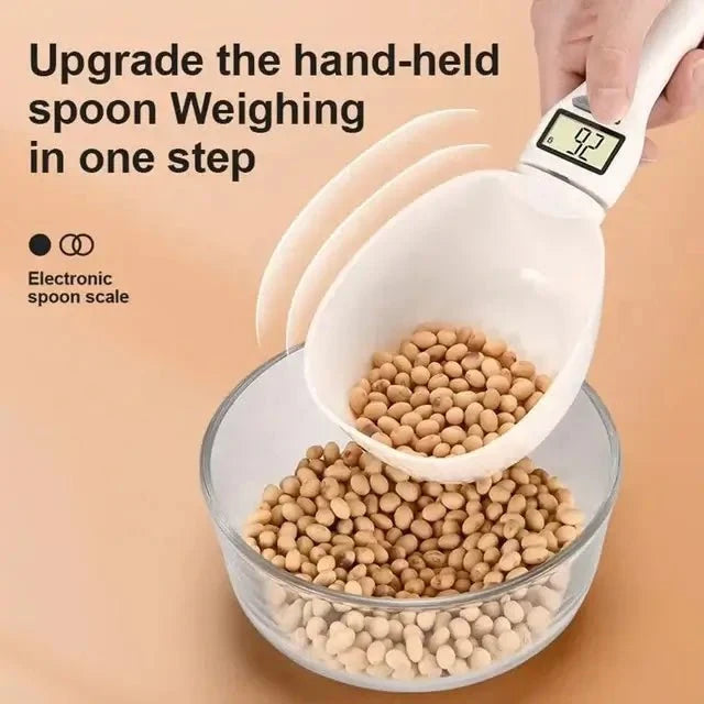 Digital Measuring Spoon with 800g Scale