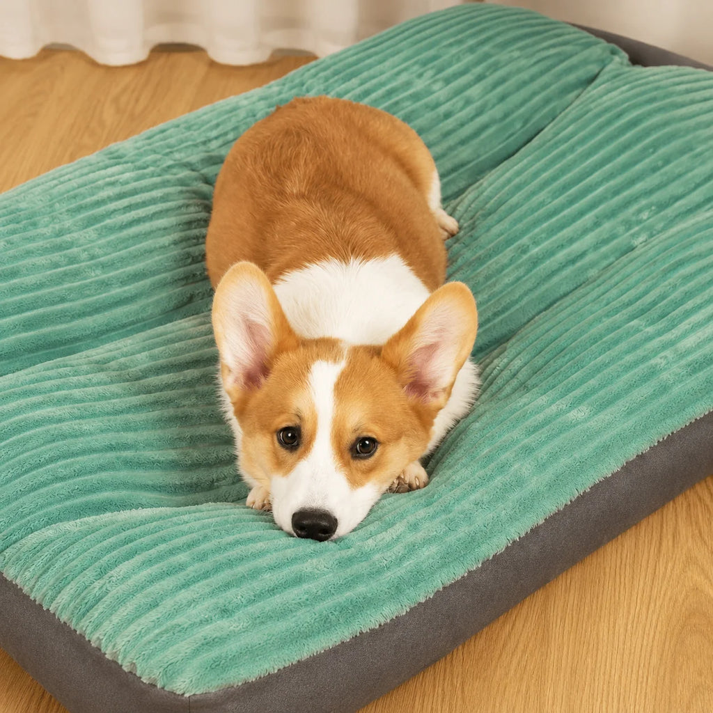 Orthopedic Dog Bed Fleece Lined Raised Edge