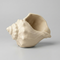 Coastal Shell Decorative Vase