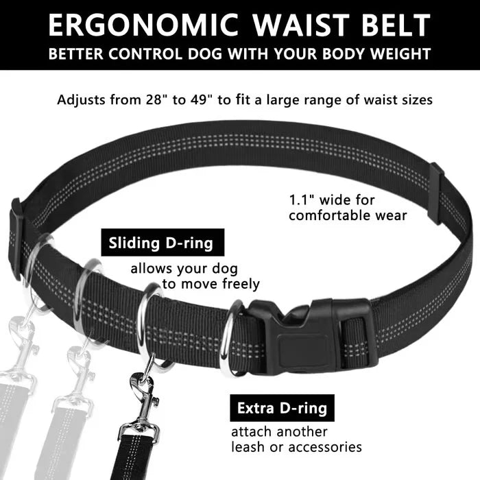 FlowLeash Dog Leash with Shock Absorber & Waist Belt