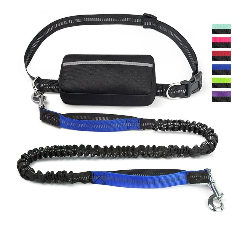 FlowLeash Dog Leash with Shock Absorber & Waist Belt