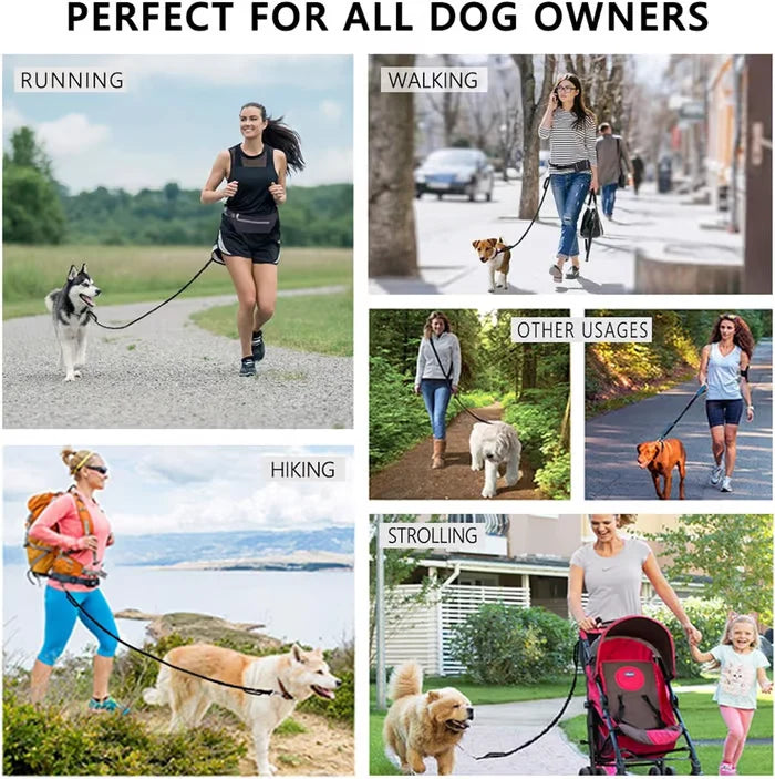 FlowLeash Dog Leash with Shock Absorber & Waist Belt
