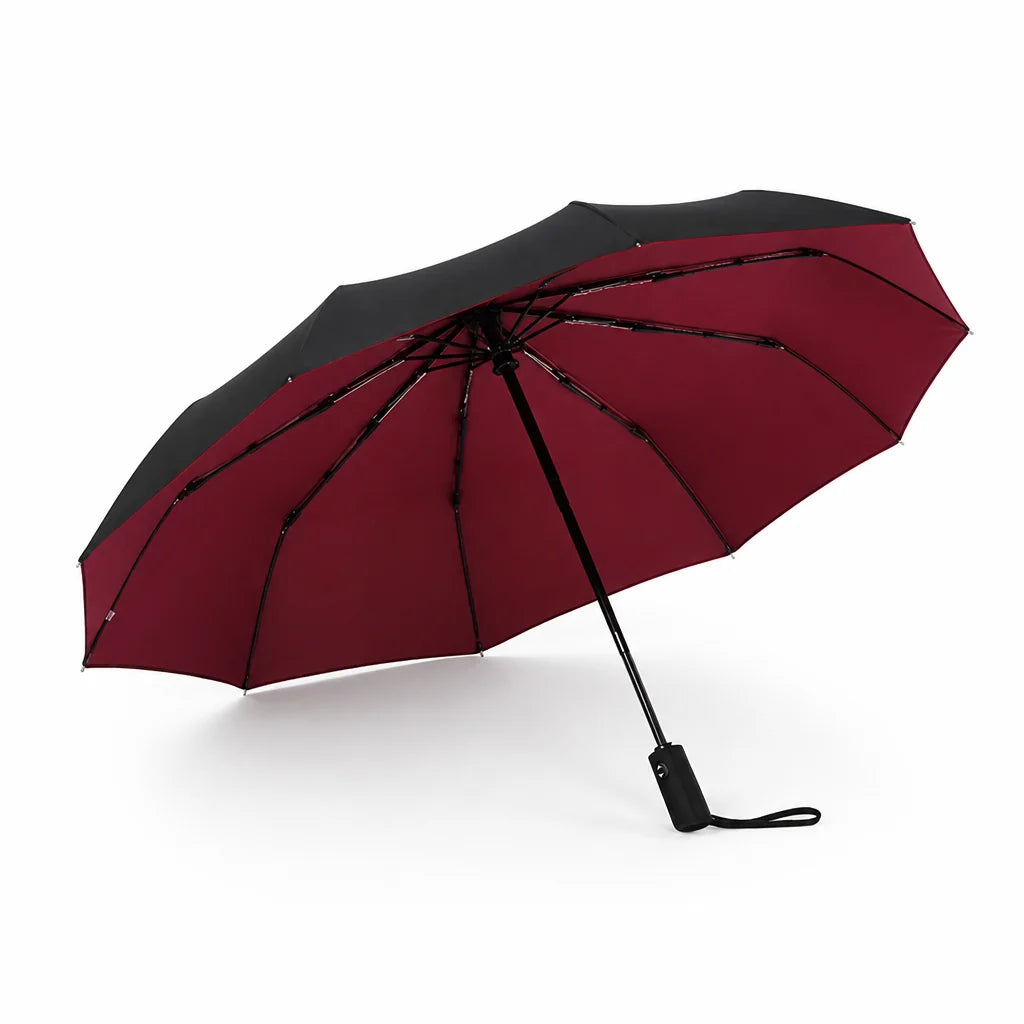 Windproof double-layer automatic umbrella