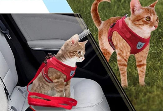 Cat Harness and Leash Escape Proof Reflective Strips