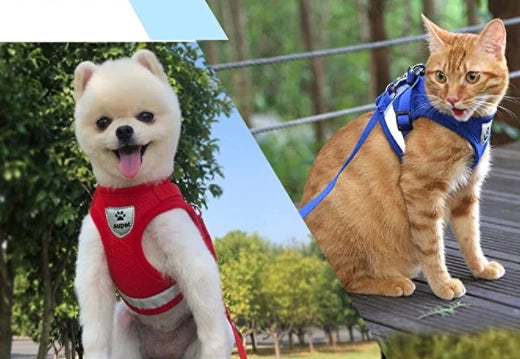 Cat Harness and Leash Escape Proof Reflective Strips