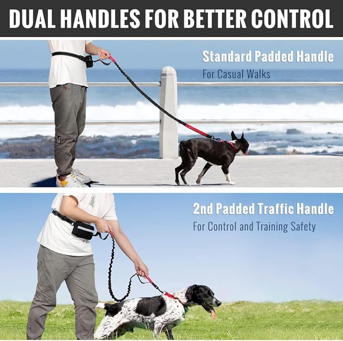 FlowLeash Dog Leash with Shock Absorber & Waist Belt