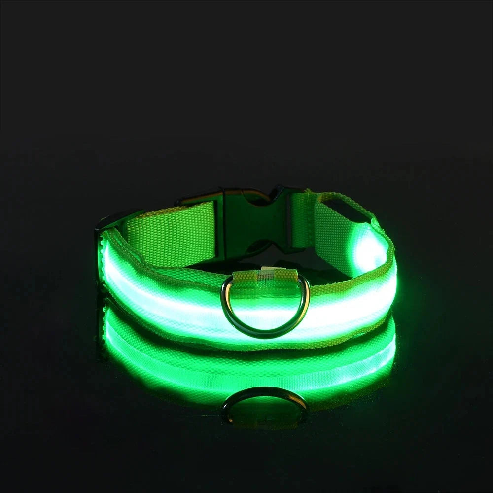 LED Dog Collar Illuminated for Night Walks