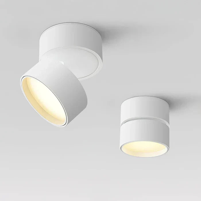 Ceiling Light LED Spotlight Adjustable Swivel Head