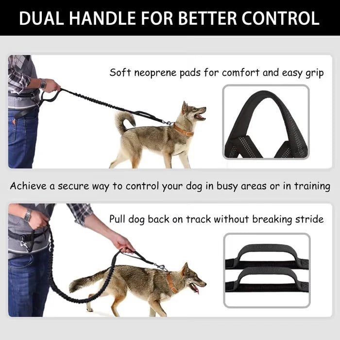 FlowLeash Dog Leash with Shock Absorber & Waist Belt