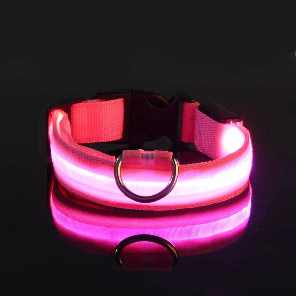 LED Dog Collar Illuminated for Night Walks