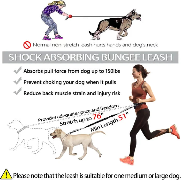 FlowLeash Dog Leash with Shock Absorber & Waist Belt