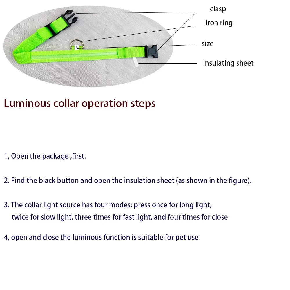 LED Dog Collar Illuminated for Night Walks