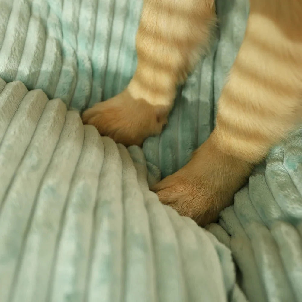 Orthopedic Dog Bed Fleece Lined Raised Edge