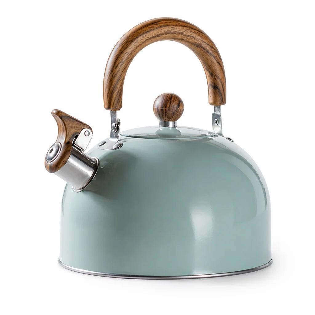 Stainless Steel Pipe Kettle (2.5L)