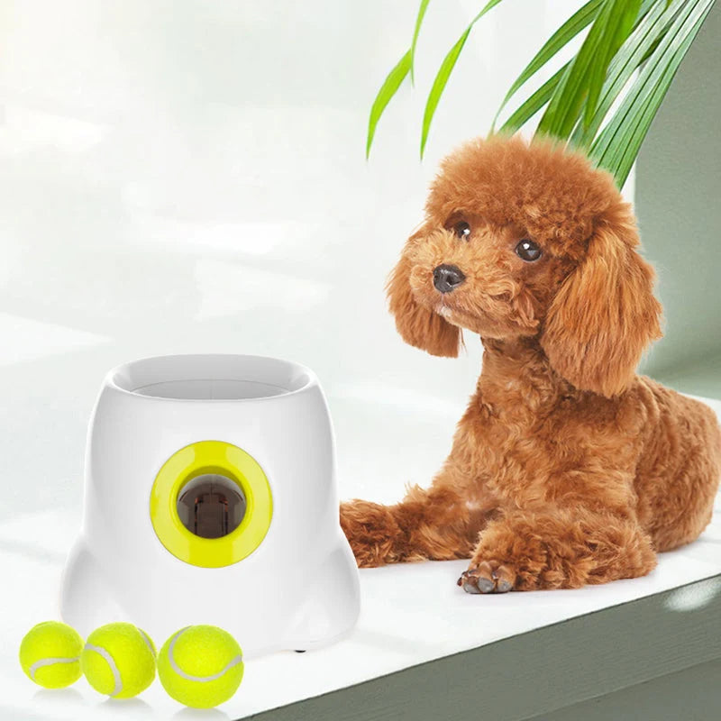 PlayBolt Automatic Ball Launcher for Dogs