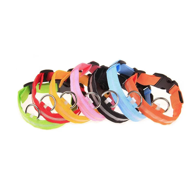 LED Dog Collar Illuminated for Night Walks