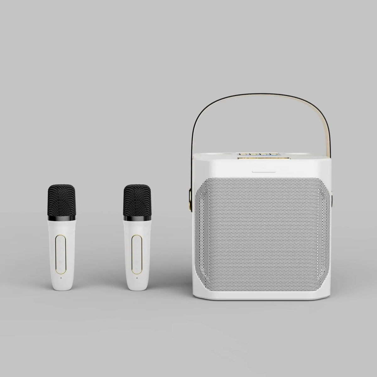 Karaoke Bluetooth Speaker Dual Microphone System