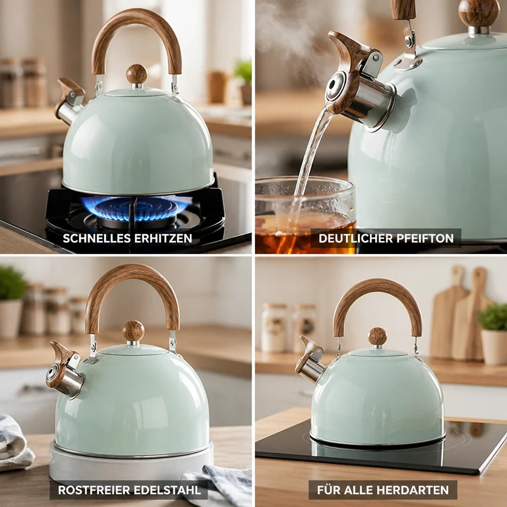 Stainless Steel Pipe Kettle (2.5L)