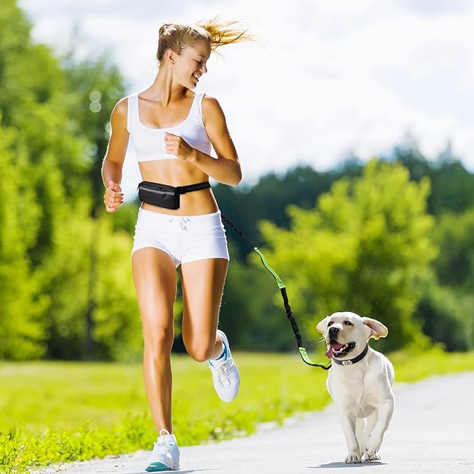 FlowLeash Dog Leash with Shock Absorber & Waist Belt