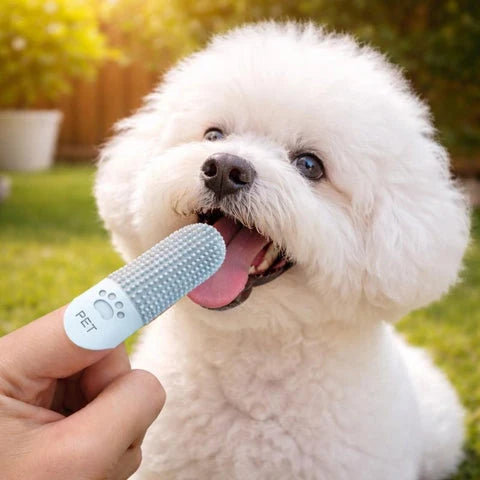 Pet Toothbrush for Dogs & Cats Silicone 360° Finger Brush (3-Pack)