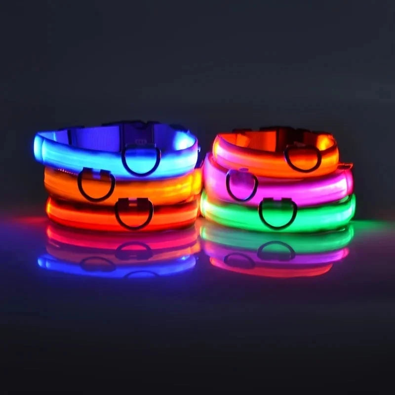 LED Dog Collar Illuminated for Night Walks