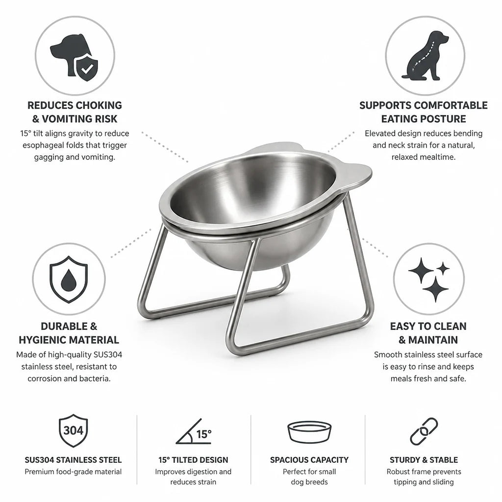 Small Dog Bowl Stainless Steel Tilted 15°