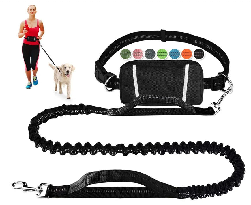 FlowLeash Dog Leash with Shock Absorber & Waist Belt