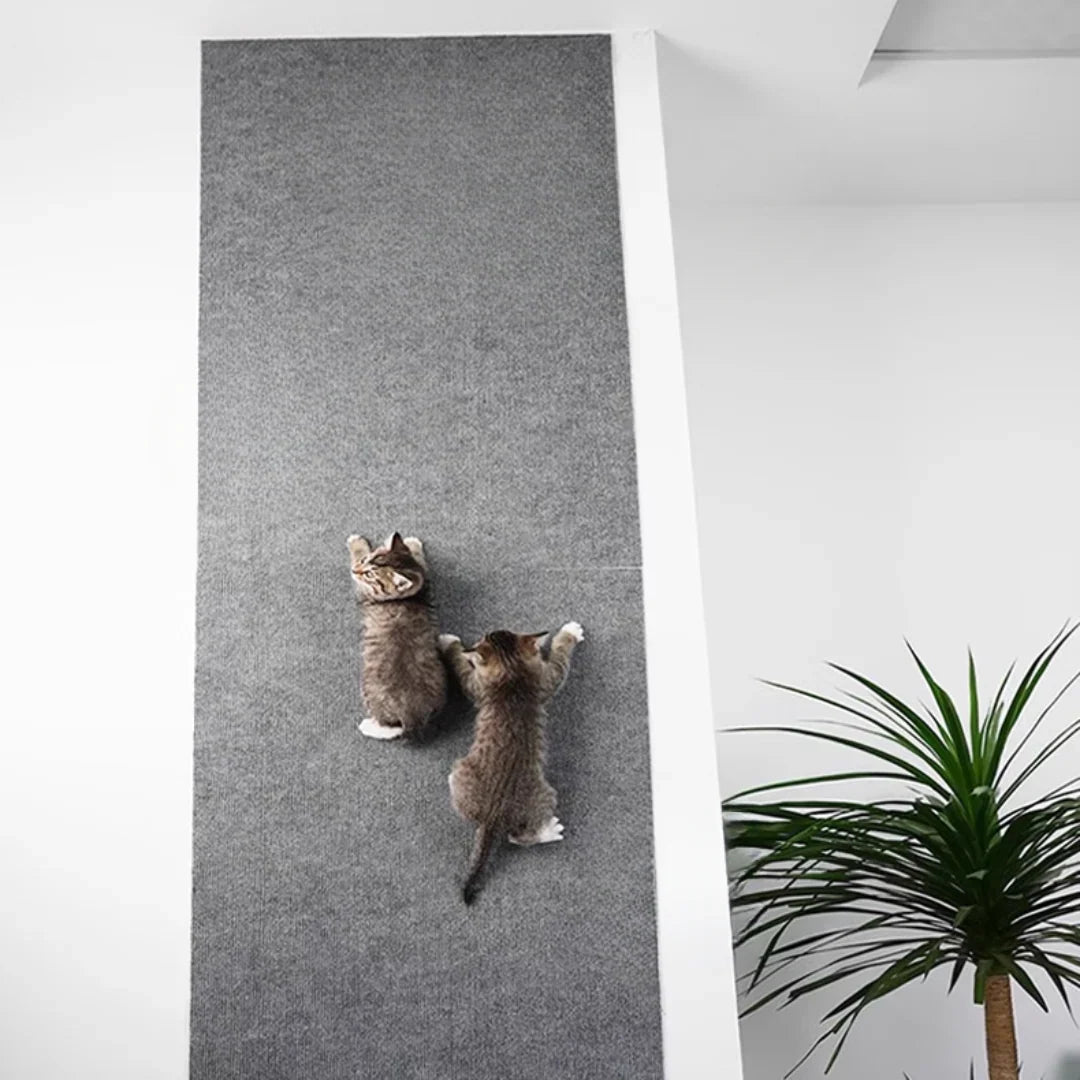 ScratchSafe™ — Transform Your Furniture into Cat-Proof Cozy Havens without Scratch Damage