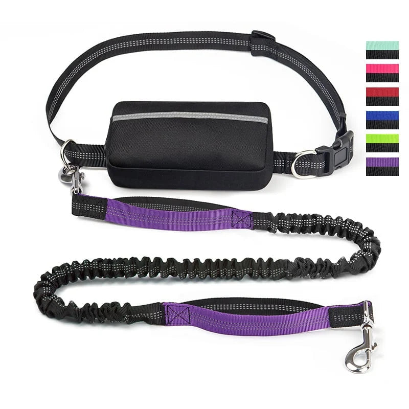 FlowLeash Dog Leash with Shock Absorber & Waist Belt
