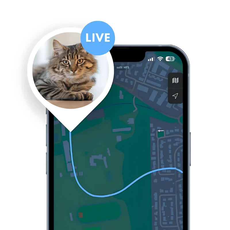 Pet GPS Tracker Real-Time Location Tracking