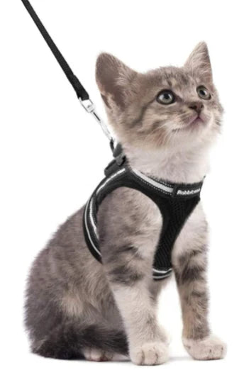 Cat Harness and Leash Escape Proof Reflective Strips