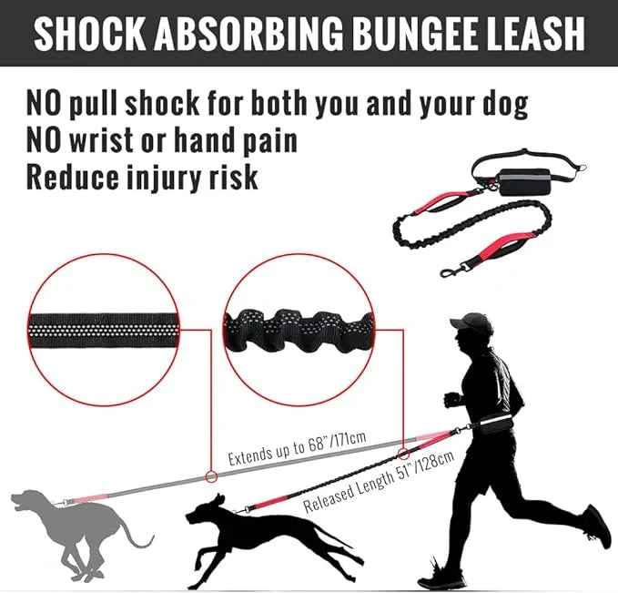 FlowLeash Dog Leash with Shock Absorber & Waist Belt