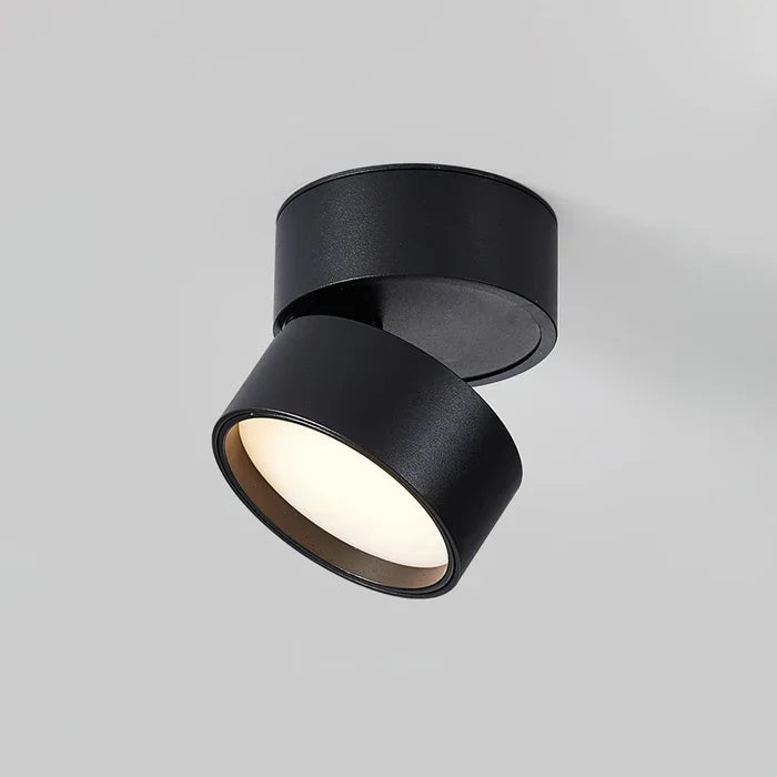 Ceiling Light LED Spotlight Adjustable Swivel Head