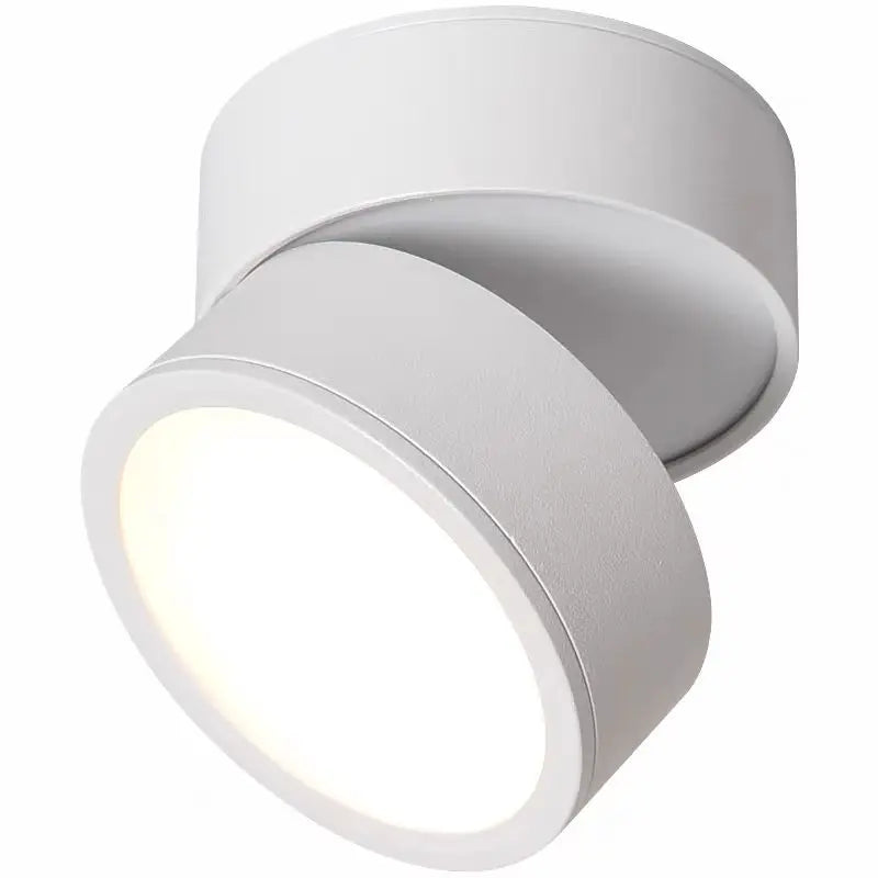 Ceiling Light LED Spotlight Adjustable Swivel Head